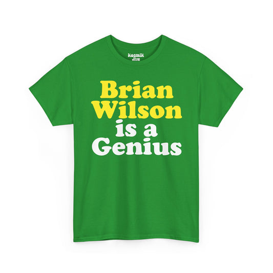 Brian Wilson Is a Genius T-Shirt
