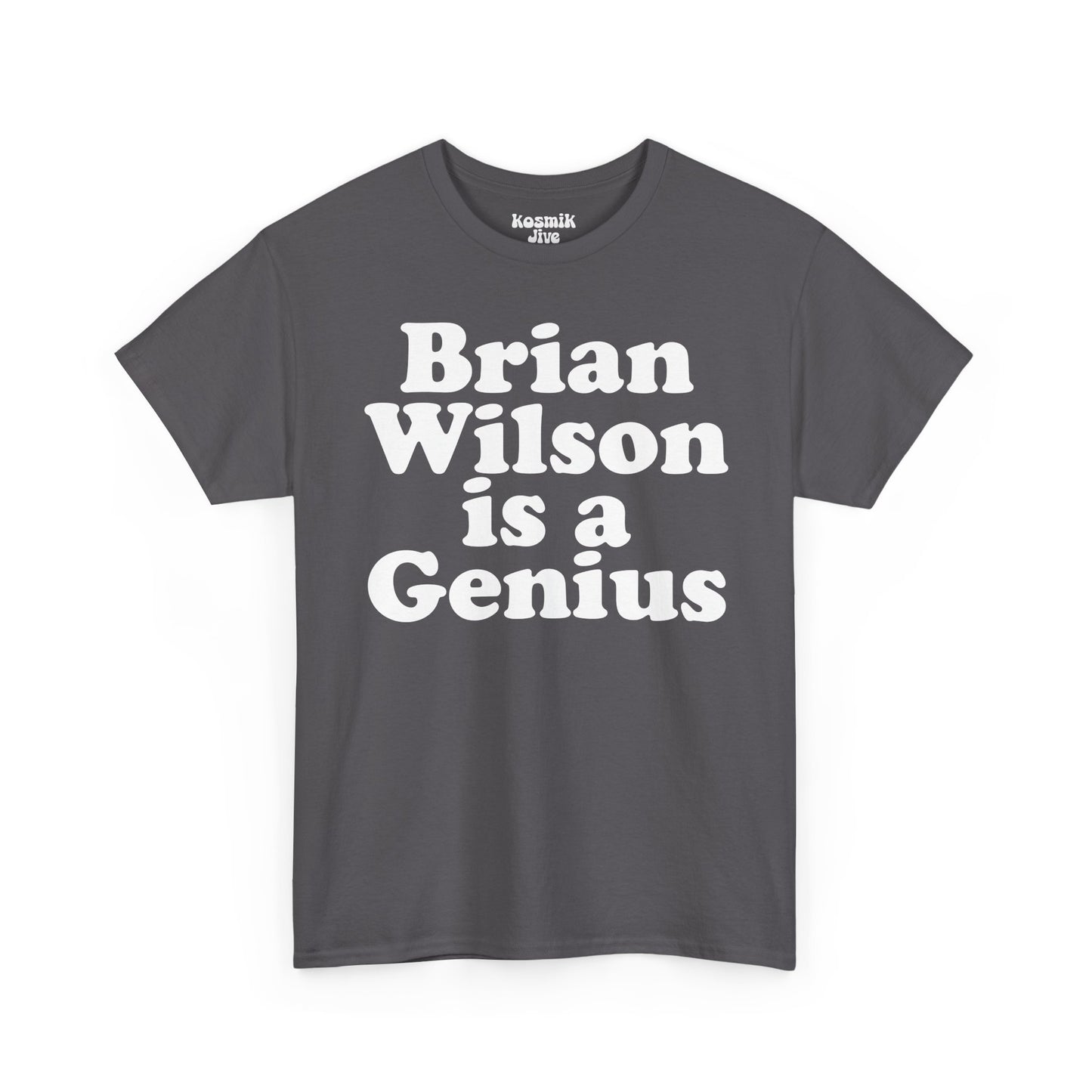 Brian Wilson Is a Genius T-Shirt