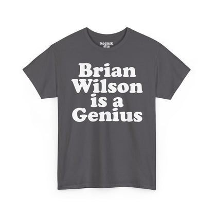 Brian Wilson Is a Genius T-Shirt