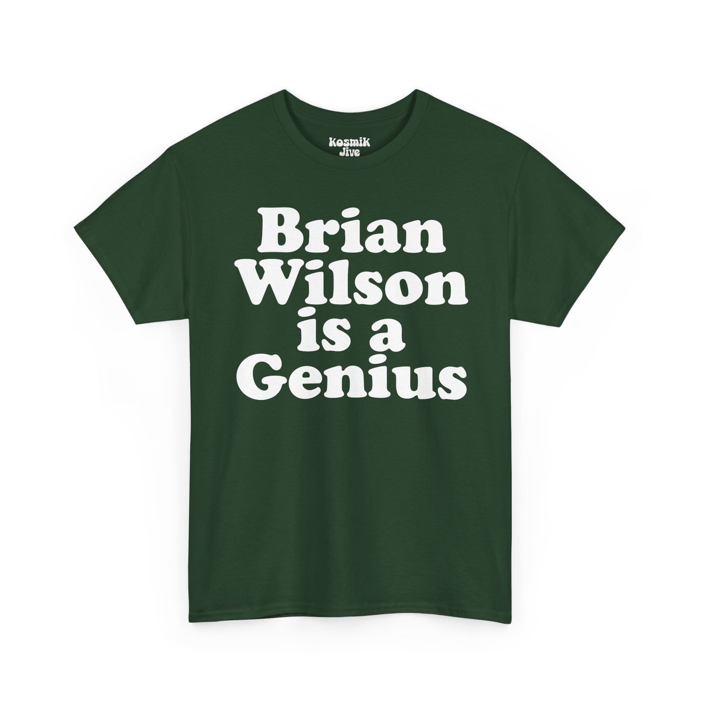 Brian Wilson Is a Genius T-Shirt