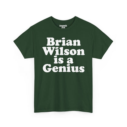 Brian Wilson Is a Genius T-Shirt