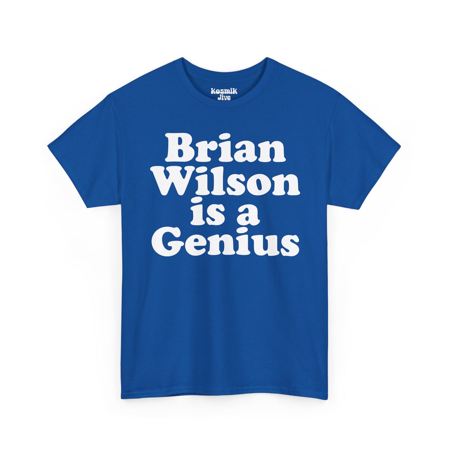Brian Wilson Is a Genius T-Shirt