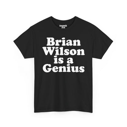 Brian Wilson Is a Genius T-Shirt