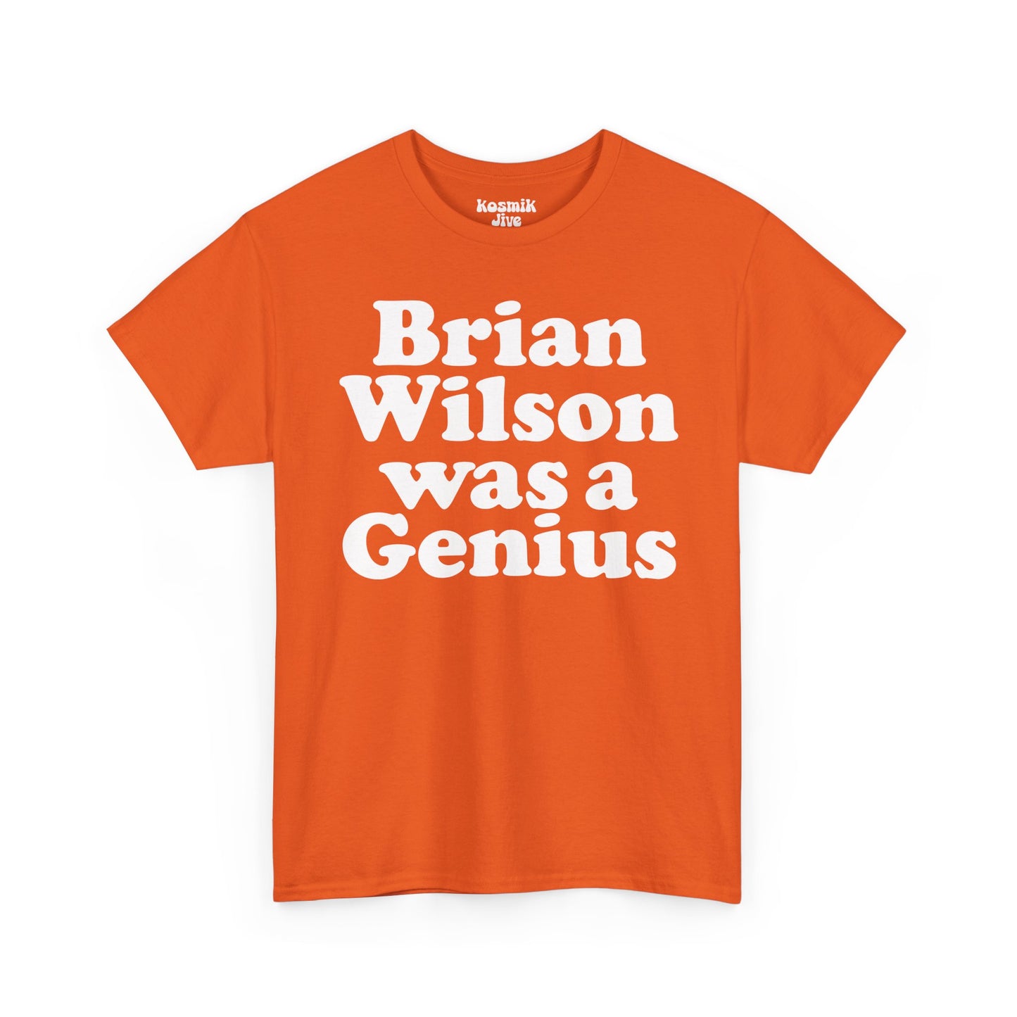Brian Wilson Was a Genius T-Shirt