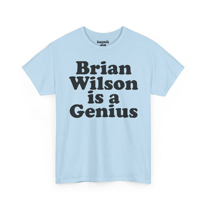 Brian Wilson Is a Genius T-Shirt