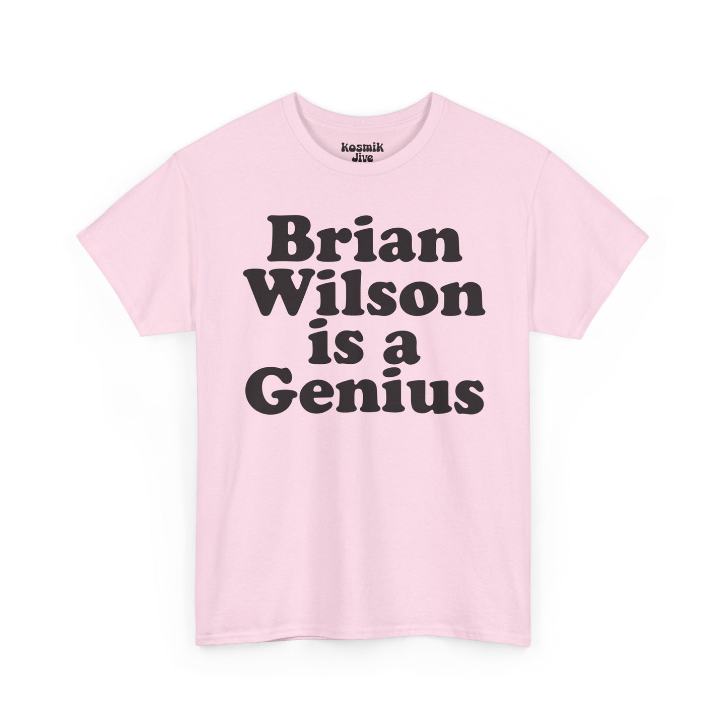 Brian Wilson Is a Genius T-Shirt