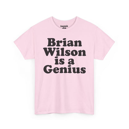 Brian Wilson Is a Genius T-Shirt