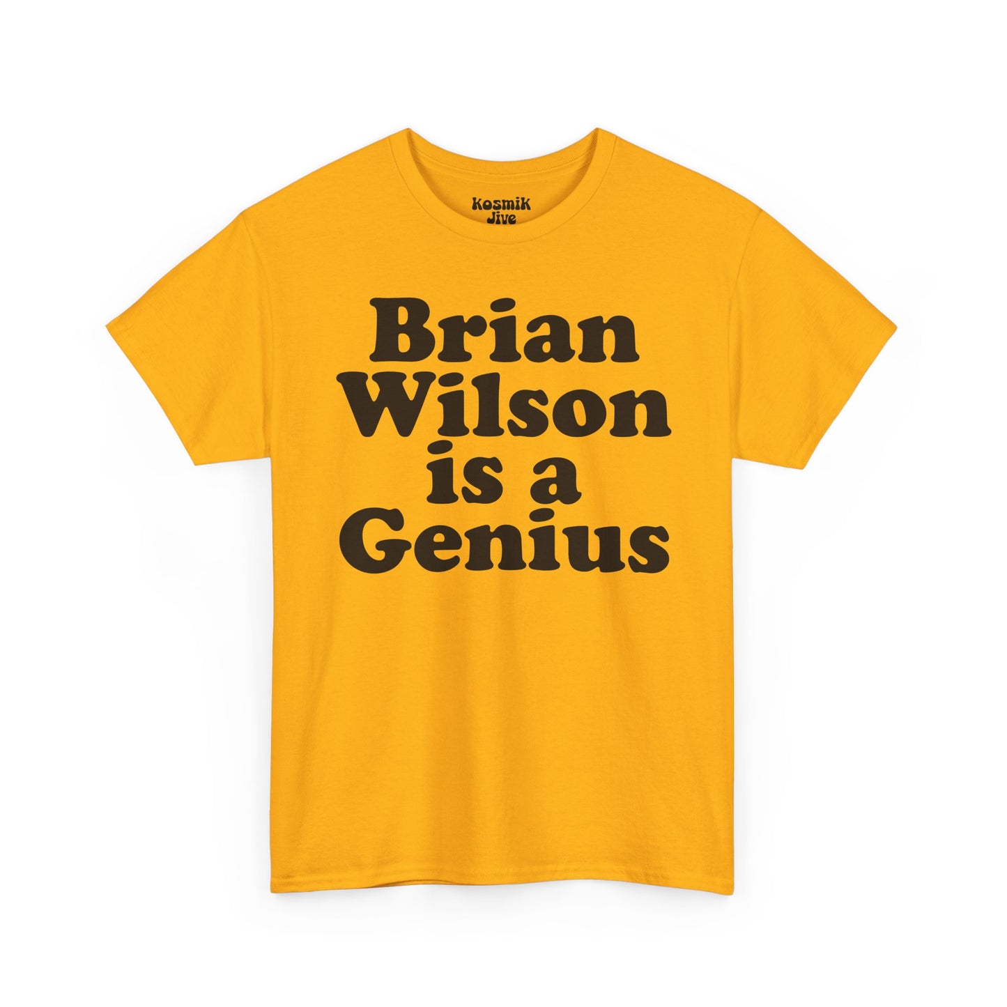 Brian Wilson Is a Genius T-Shirt