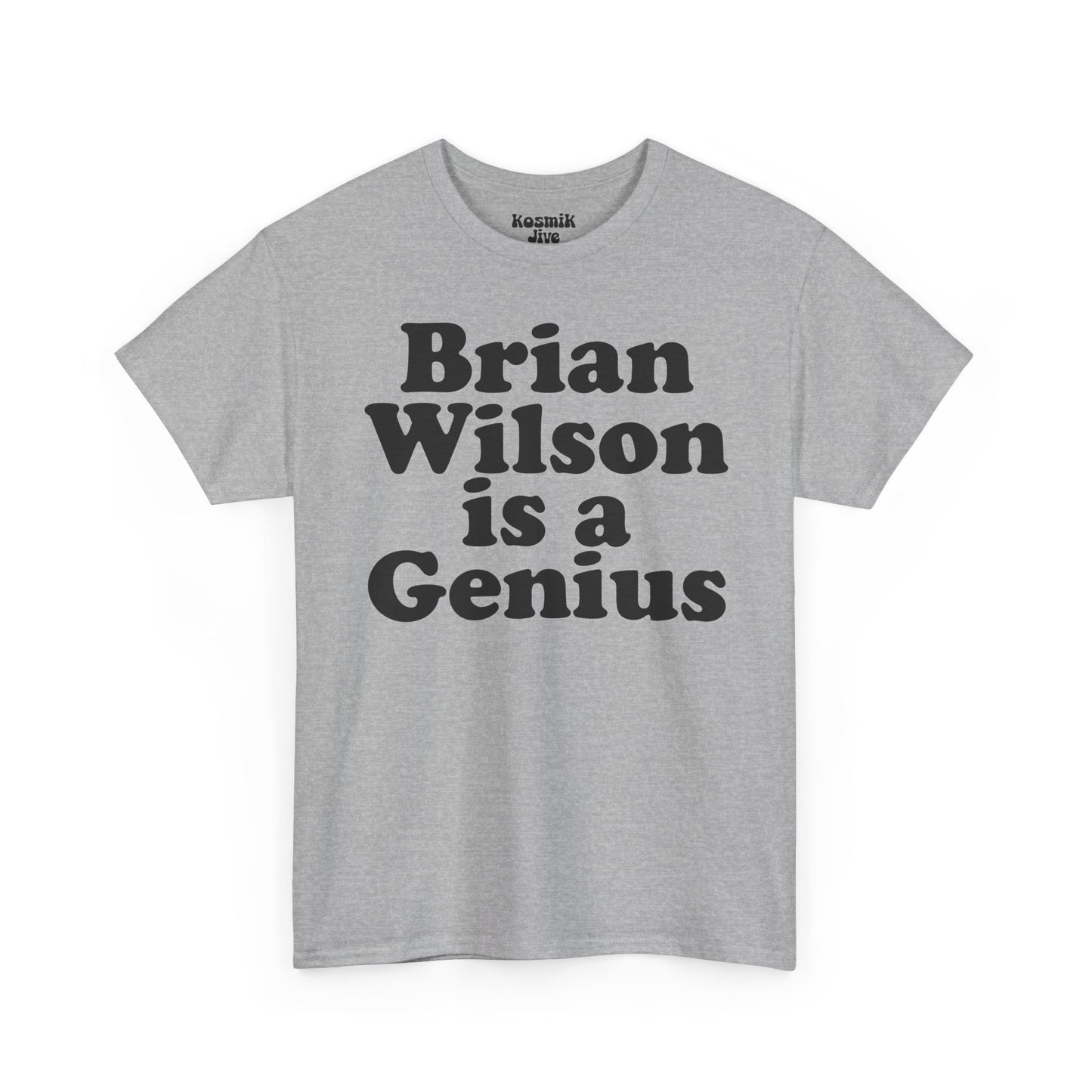 Brian Wilson Is a Genius T-Shirt