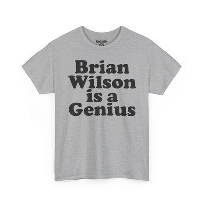 Brian Wilson Is a Genius T-Shirt