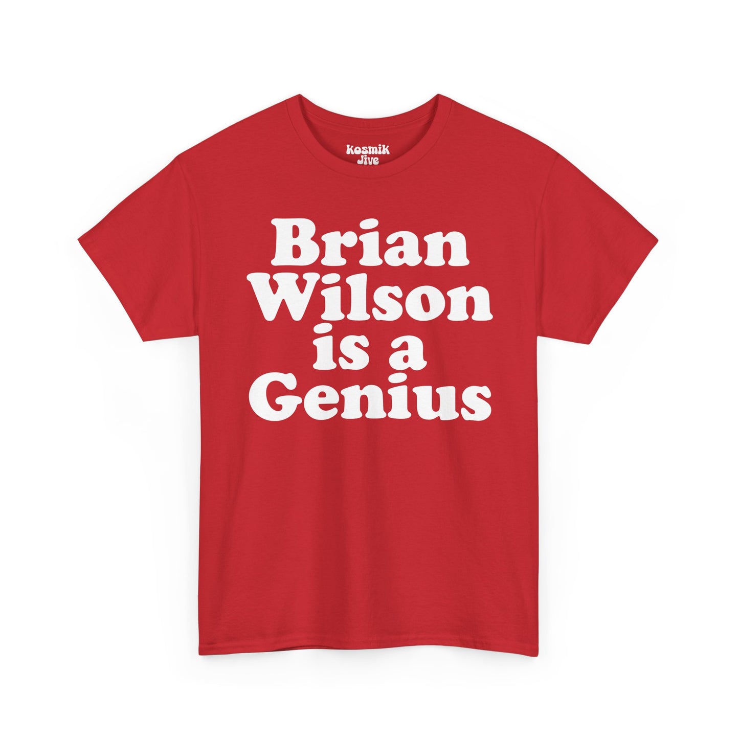 Brian Wilson Is a Genius T-Shirt