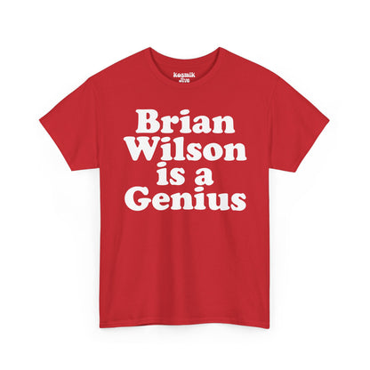 Brian Wilson Is a Genius T-Shirt