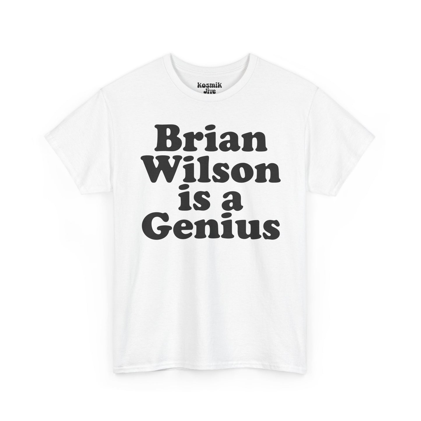 Brian Wilson Is a Genius T-Shirt