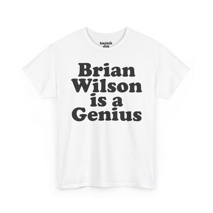 Brian Wilson Is a Genius T-Shirt