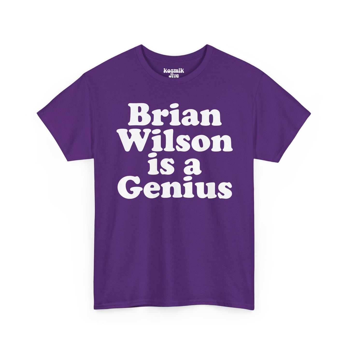 Brian Wilson Is a Genius T-Shirt