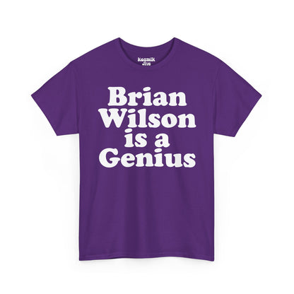 Brian Wilson Is a Genius T-Shirt